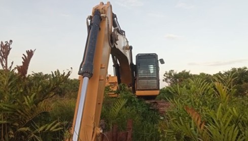 1785380298salvage 4.jpg